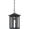 Quoizel Everglade Outdoor Hanging Lantern EVG1911EK - alternate 5